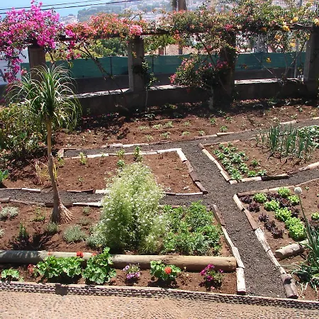 Quinta Do Bom Sucesso * Funchal (Madeira)
