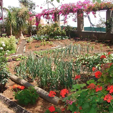 Apartment Quinta Do Bom Sucesso Funchal (Madeira)
