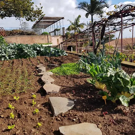 Quinta Do Bom Sucesso شقة *